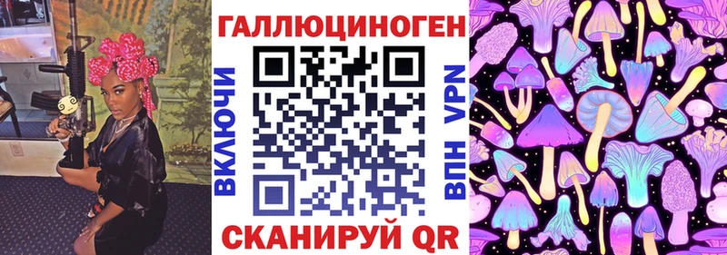 сколько стоит  Санкт-Петербург  Псилоцибиновые грибы Psilocybe 