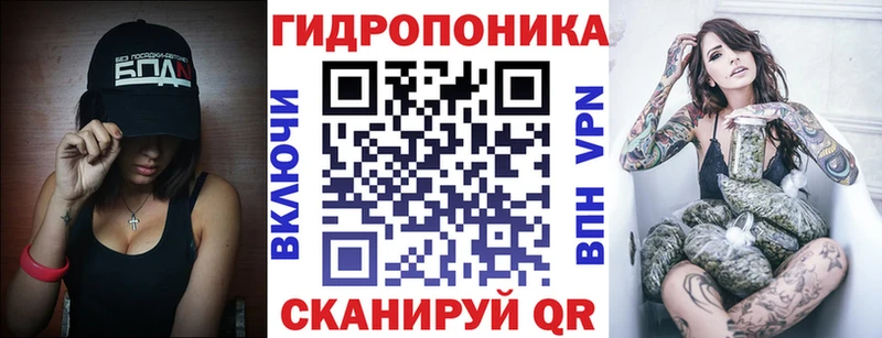 Конопля сатива  где купить наркотик  Санкт-Петербург 